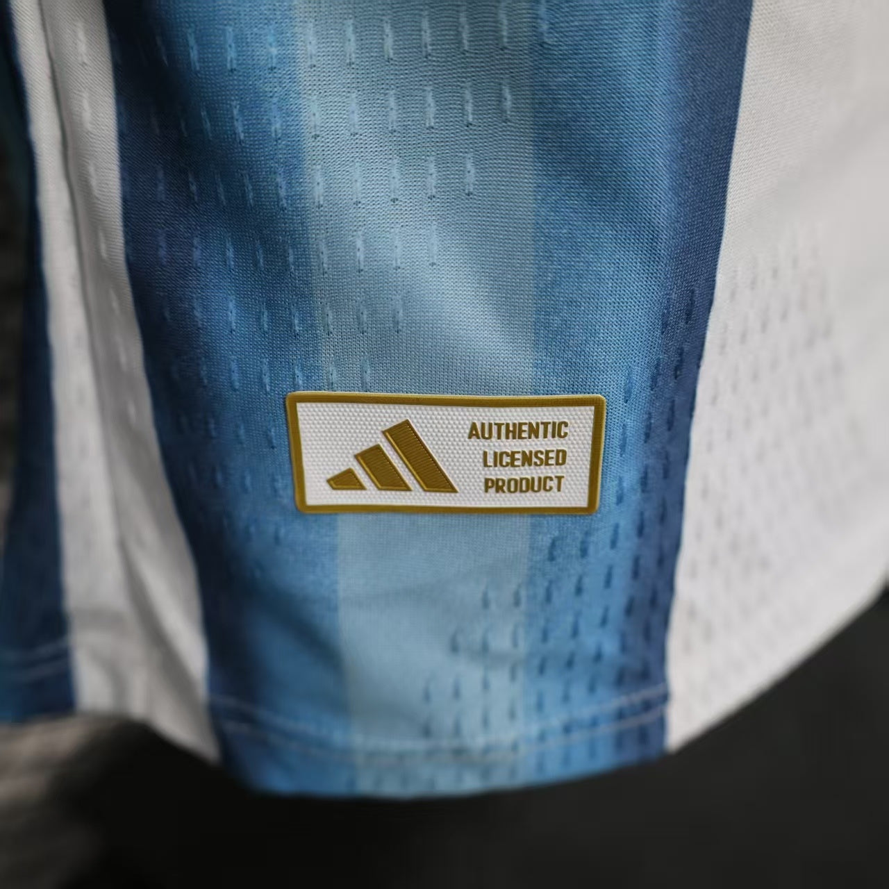 Camiseta Argentina World Cup 2026