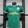 Camiseta Palmeiras 24/25