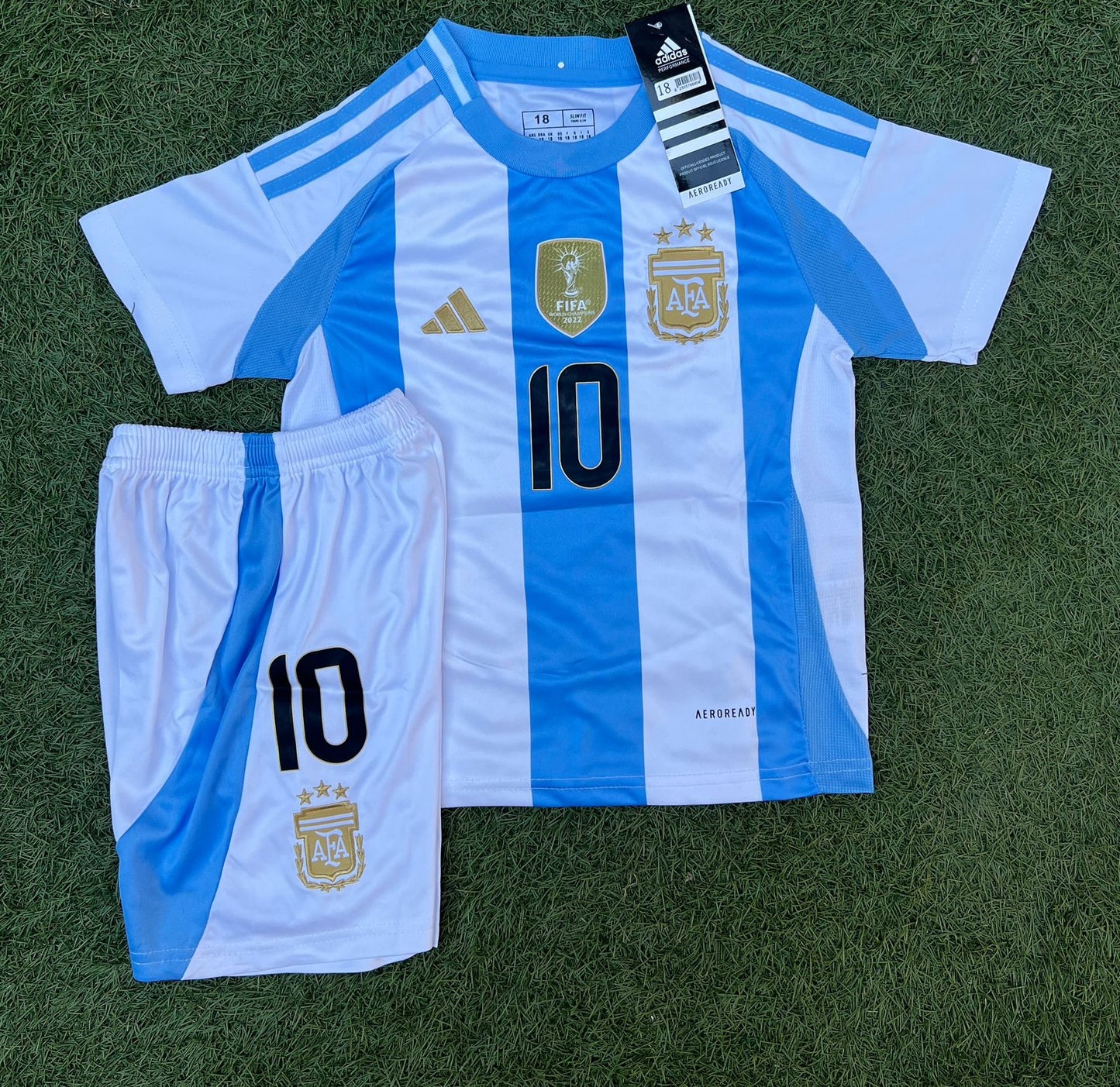 Argentina Team - Copa America 2024 