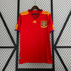 Camiseta Retro España 2010