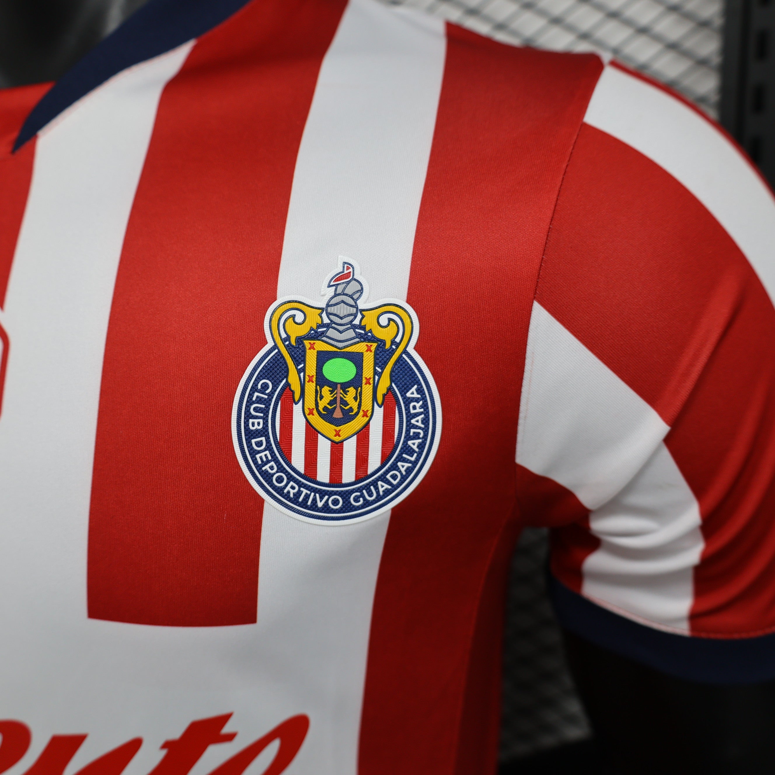 Camiseta Chivas Guadalajara 24/25