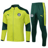 Kit de Entrenamiento Palmeiras - Green