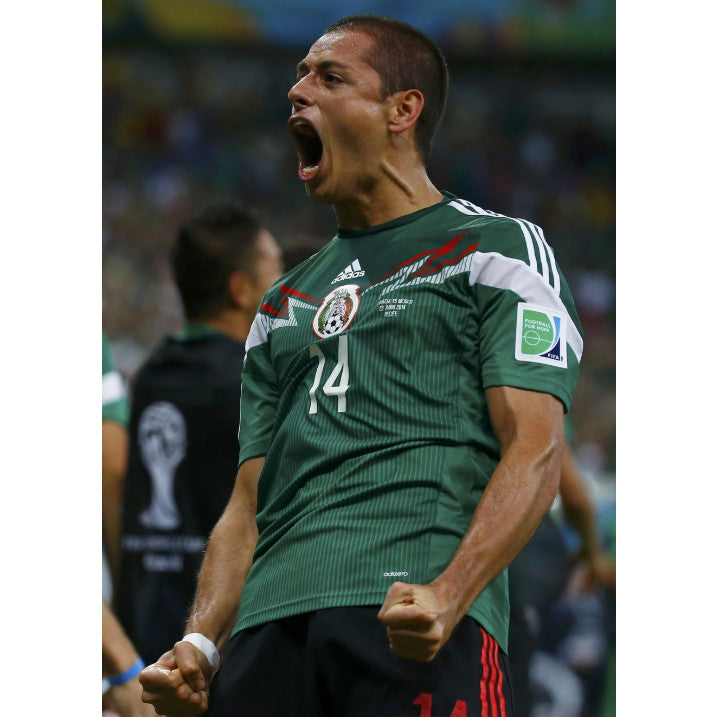 Camiseta Retro Mexico 2014