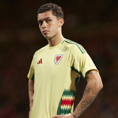 Conjunto Gales - EURO 2024